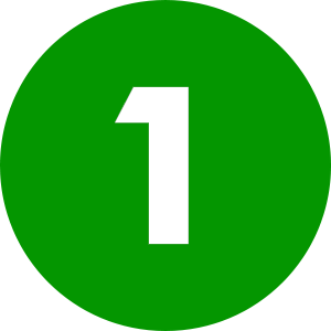 Passo 1